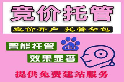 百度推广运营实战技巧：案例教学与解析